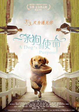 婷婷激情狠狠综合五月